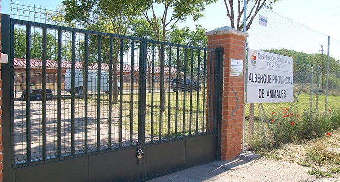 CSIF lamenta la rescisión del contrato de la adjudicataria de la gestión del albergue de animales de Cuenca