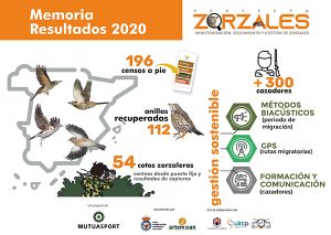 Se bucan cazadores en Castilla-La Mancha comprometidos con los zorzales