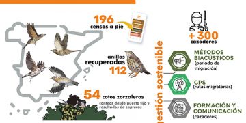 Se bucan cazadores en Castilla-La Mancha comprometidos con los zorzales