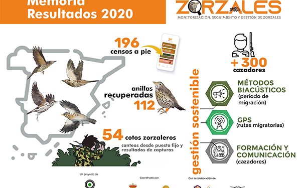 Se bucan cazadores en Castilla-La Mancha comprometidos con los zorzales