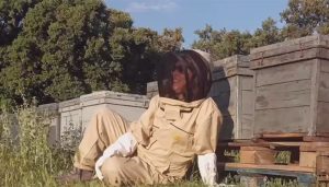 Solo el 1,2% de los miembros de las estructuras directivas de las cooperativas son mujeres en la provincia de Guadalajara