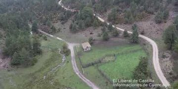 Trashumancia bajo la lluvia