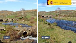 La CHT retira el antiguo vado del Cerezo en el río de la Hoz Seca a su paso por el Hayedo de Tejera Negra