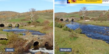 La CHT retira el antiguo vado del Cerezo en el río de la Hoz Seca a su paso por el Hayedo de Tejera Negra