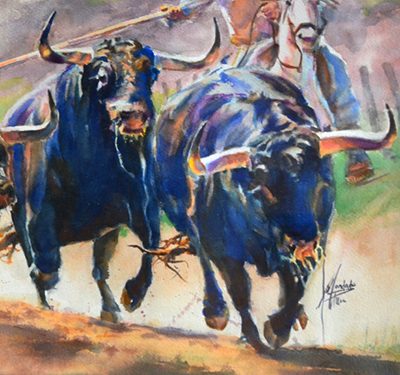 acuarelas de José Luis Condado