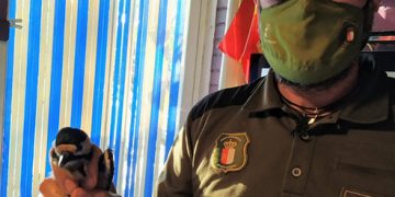 Agentes Medioambientes de Guadalajara trasladan un Pico Picapinos al Centro de Recuperación de Fauna