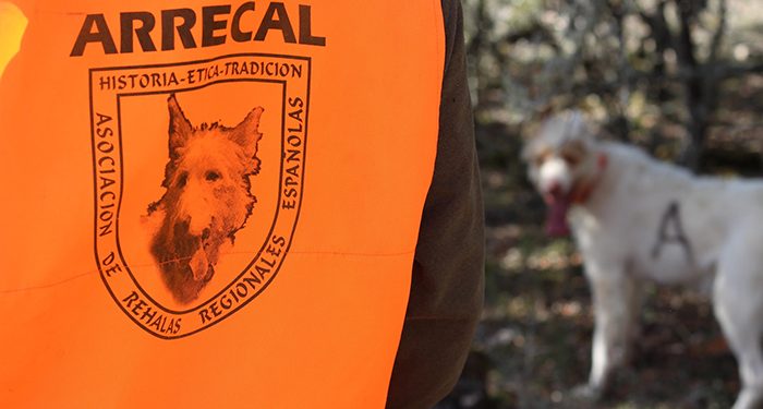 Carta Abierta a Pedro Sánchez Castejón