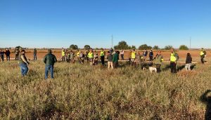 Casto Collado, Nazaret Tarjuelo y José-Joaquín Cano, campeones autonómicos de caza menor con perro