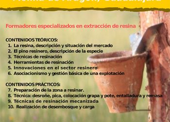 Curso de reasineros en Molina de Aragón