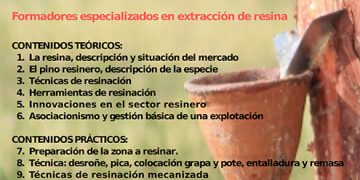 Curso de reasineros en Molina de Aragón