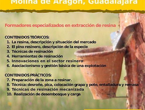 Curso de reasineros en Molina de Aragón