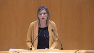 El Senado pide el servicio universal de Internet de 100 Mbps para zonas rurales y Teruel Existe expone la situación de los pueblos