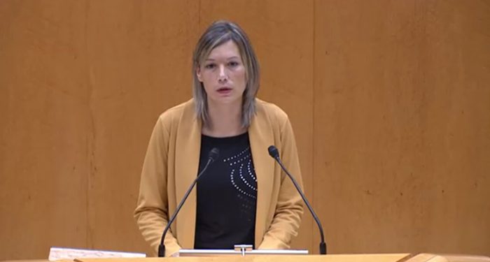 El Senado pide el servicio universal de Internet de 100 Mbps para zonas rurales y Teruel Existe expone la situación de los pueblos