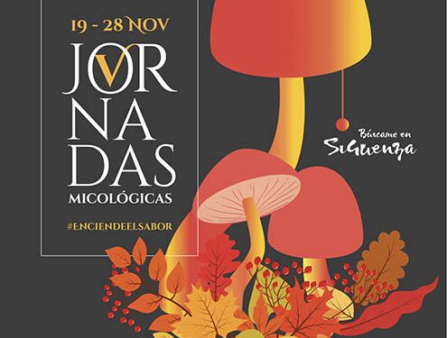 Entre los días 19 y 28 de noviembre, V Jornadas Micológicas 'Encienden el sabor' de la gastronomía seguntina