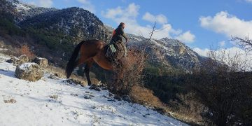 Este miércoles, nuevo documental trashumante con la ganadería de Alicia Chico en su primera etapa nevada