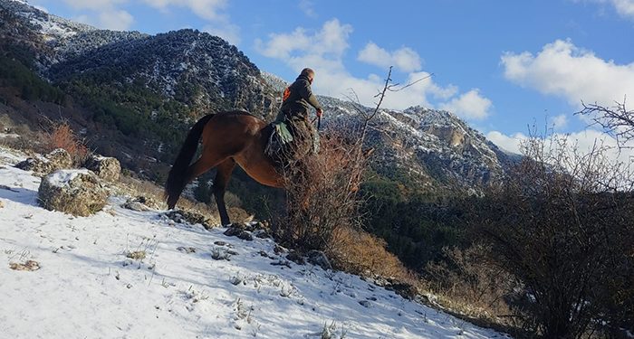 Este miércoles, nuevo documental trashumante con la ganadería de Alicia Chico en su primera etapa nevada