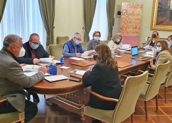 La Diputación de Guadalajara concede 163.226 euros de ayudas a 152 autónomos y empresas de hostelería, turismo y artesanía