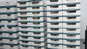 La patronal conquense se muestra satisfecha con un crecimiento continuado de las exportaciones de la provincia