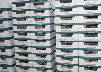 La patronal conquense se muestra satisfecha con un crecimiento continuado de las exportaciones de la provincia