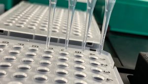 La UCLM testa mediante un cribado de saliva a medio millar de personas sin detectar un positivo en COVID-19