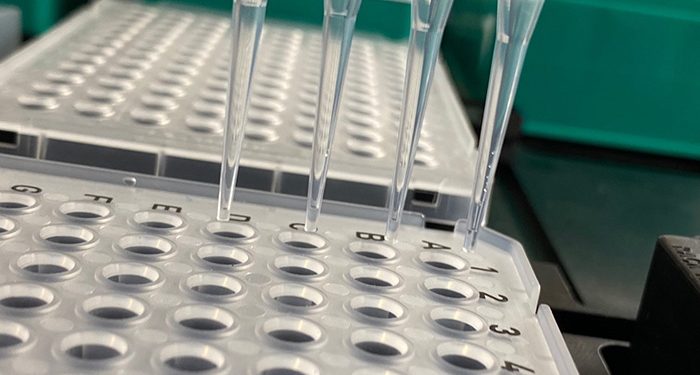 La UCLM testa mediante un cribado de saliva a medio millar de personas sin detectar un positivo en COVID-19