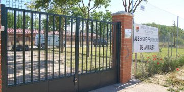 Cuenca en Marcha pide ‘reformas de calado y transparencia’ para mejorar la situación del Albergue Provincial de Animales