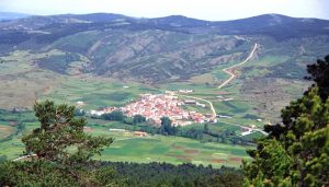 Orea da un paso adelante para aprovechar sus montes de forma sostenible