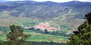 Orea da un paso adelante para aprovechar sus montes de forma sostenible