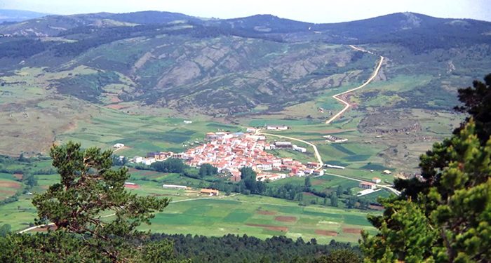 Orea da un paso adelante para aprovechar sus montes de forma sostenible