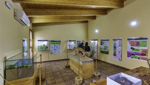 Premio de la Fundación Eurocaja Rural al CIPAT de Tamajón