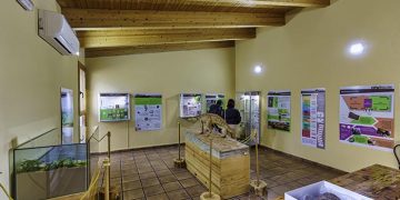 Premio de la Fundación Eurocaja Rural al CIPAT de Tamajón
