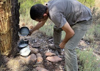 Resinlab un impulso innovador al tradicional oficio de la resinación