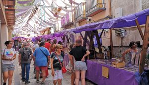 Lavanda de Brihuega, la marca con la que el Ayuntamiento de Brihuega quiere ordenar y garantizar la calidad de todo lo relacionado con el producto más característico de sus tierras