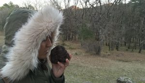 Los empresarios conquenses se forman sobre agroturismo y economía circular en una jornada de CEOE-Cepyme Cuenca