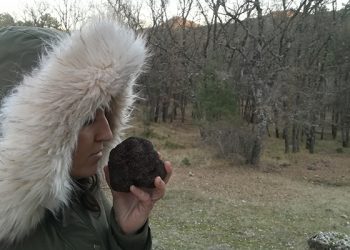 Los empresarios conquenses se forman sobre agroturismo y economía circular en una jornada de CEOE-Cepyme Cuenca