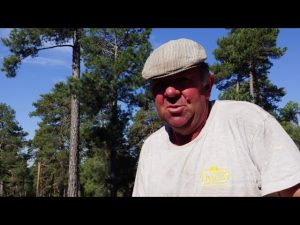 Este domingo la entidad cultural Adesercu reconoce y homenajea a los pastores de la Serranía Alta de Cuenca 2 trashumancia los cardo llegan a la finca