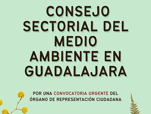 Ecologistas en Acción Guadalajara reclama la convocatoria urgente del Consejo Sectorial del Medio Ambiente 1 Ecologistas en Acción Guadalajara reclama la convocatoria urgente del Consejo Sectorial del Medio Ambiente