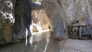 Adjudicado el proyecto de implantación de las medidas de gestión de las reservas naturales fluviales en la cuenca del Júcar