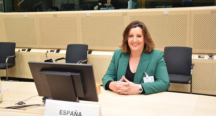 Castilla-La Mancha defiende en el Consejo Europeo la seguridad laboral, la igualdad en el trabajo y la recualificación continua como apuesta española para el empleo sostenible