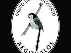 Ecologistas en Acción Guadalajara premia por su conducta medioambiental al Grupo Aegithalos, la Plataforma en Defensa del Río Ungría y las emprendedoras Judith Iturbe y Elena Sánchez