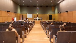 El Ayuntamiento de Guadalajara comienza a dar los pasos previos para la puesta en marcha del protocolo de control de las colonias felinas