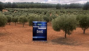 Invierte en Cuenca ofrece dos fincas en Minglanilla para su explotación empresarial