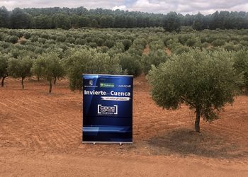 Invierte en Cuenca ofrece dos fincas en Minglanilla para su explotación empresarial