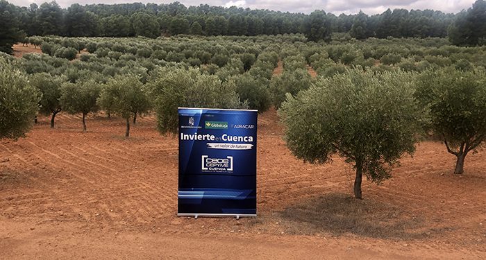 Invierte en Cuenca ofrece dos fincas en Minglanilla para su explotación empresarial