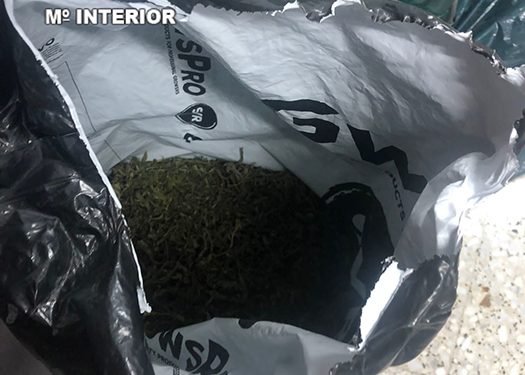 La Guardia Civil investiga a un hombre por tráfico de drogas en la urbanización Casalonga en Villar de Cañas 1 la guardia civil investiga a un hombre por trafico de drogas en la urbanizacion casalonga en villar de canas
