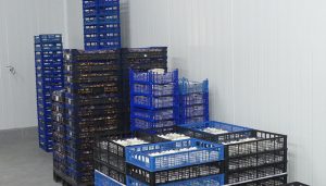 Las exportaciones en Cuenca crecen en más de 130 millones a falta del último tercio de 2021