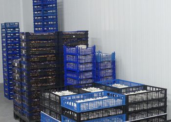 Las exportaciones en Cuenca crecen en más de 130 millones a falta del último tercio de 2021