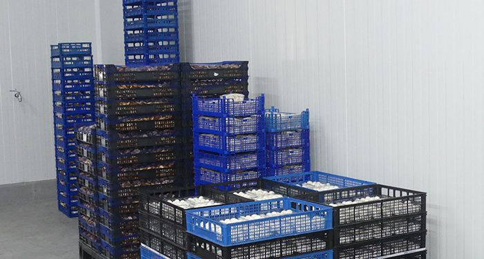 Las exportaciones en Cuenca crecen en más de 130 millones a falta del último tercio de 2021