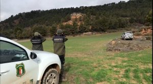 Paralizada una cacería furtiva en Mira con 15 personas y 23 perros