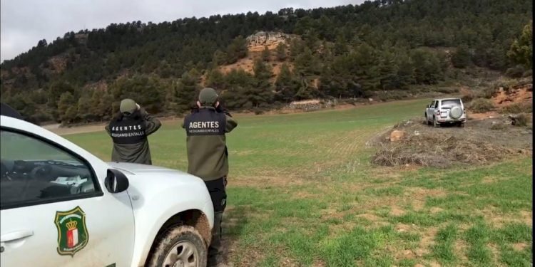Paralizada una cacería furtiva en Mira con 15 personas y 23 perros